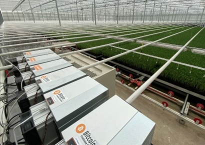 전기 넘쳐나서 오히려 '전기료 폭탄'에 단전…구원투수로 등판한 '비트코인'[테크토크]