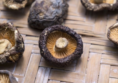 매일 씻는 노인도 피하기 어려운 불쾌한 '이 냄새'…버섯에 답 있다?