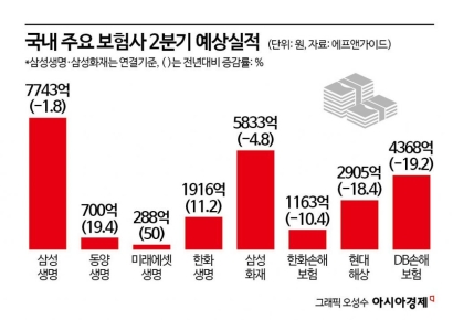 보험사 실적 2분기도 어둡다…손보가 생보보다 부진 예상
