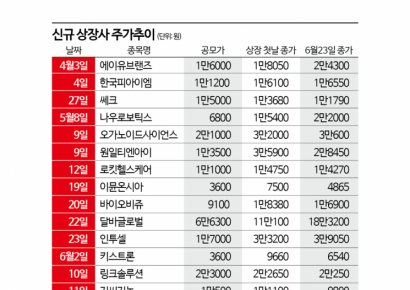 증시는 '맑음' 새내기株는 '흐림'
