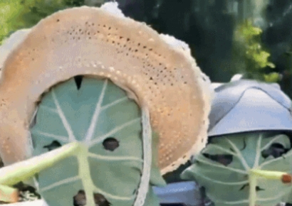 "얼굴 하나도 안 탔다" 中 청년이 쓴 마스크 정체