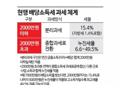 [초동시각]바람직한 배당소득 분리과세 세율 인하