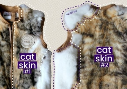 '100% 호주산 양털'이라더니 '고양이 가죽' 조끼…호주 발칵