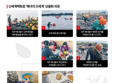 [AZ가 간다]③'파도와 사투' 생초보 해녀체험…당일 캔 성게알, 강남 백화점 특급배송