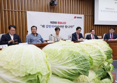 배추까지 등장한 김민석 국민청문회…국힘 "의혹만 눈덩이"