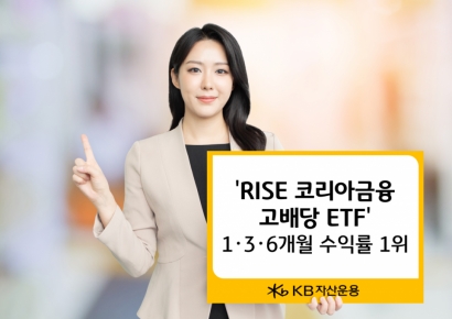 'RISE 코리아금융고배당 ETF' 수익률 '우수'
