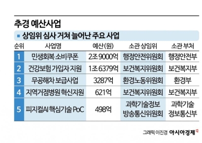 30조 추경에 '6조원+α' 증액요구…추경안, 내일 국회 통과될까 