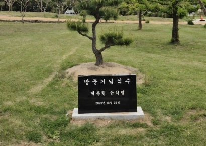 병산서원 입구 '尹 기념식수 비석' 사라져…안동시 파악 나서