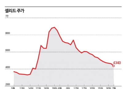 셀리드, 유상증자 참여 주주들 '한숨만'