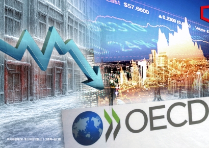 OECD 경제단체 "올 하반기 경기 급랭… 기업 체감·투자심리 동반 위축"