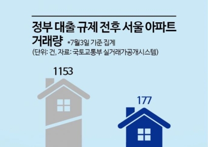 6·27 대책 약발 먹히나?…서울 아파트, 거래 감소·가격 흔들 '징후'