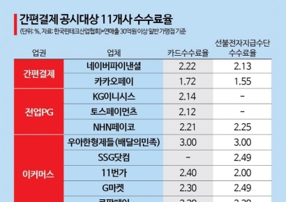 "전자금융결제, 업권별 구분공시 필요"…당국 조율 '촉각'