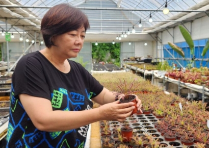 날파리·모기·러브버그도 줄행랑…5000원~1만원이면 잡을 수 있어 '대인기'