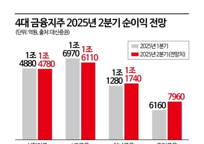 '배당소득 분리과세'에 주목 받는 은행株