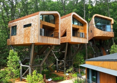 서울에 이런 곳이 있었나…공개되자 3분 만에 예약 마감된 '숲캉스' 숙소