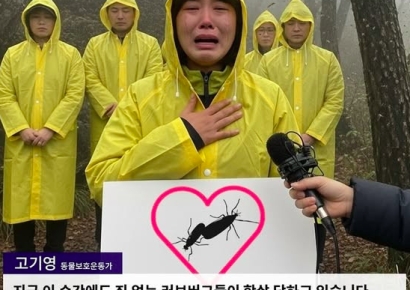 "죄 없는 러브버그 학살 멈춰" 환경운동가의 읍소, 알고보니