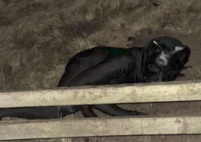 검은 고양이 옷 입고 밤마다 '야옹'…주민들 놀래킨 英 남성