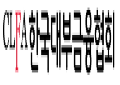 대부금융업권, 과잉대출 유인광고 자율정화