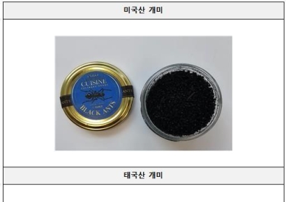 먹으면 안되는데…수입한 개미 얹은 요리 1억 넘게 판 음식점