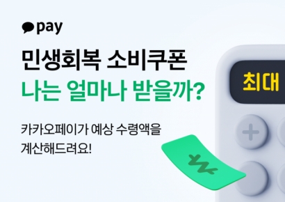 내 지원금 얼마?…카카오페이, 민생회복 소비쿠폰 계산기 출시