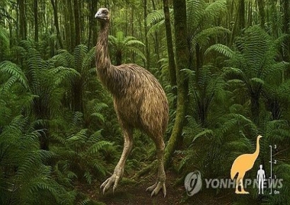 '반지의 제왕' 감독 200억 쾌척…사라진 키 3.6ｍ 모아새 복원 프로젝트 시작