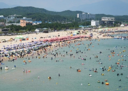 '양양에 놀러 가면 안 되는 이유' SNS 글 올렸다 삭제…허위 루머 칼 빼든 양양군