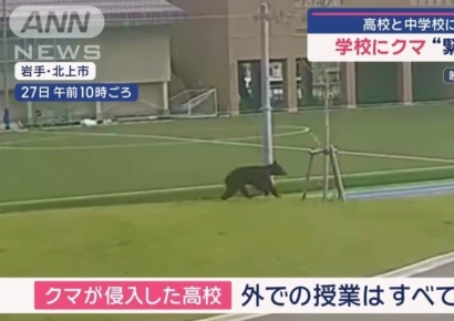 "곰이 현관까지" 日서 신문배달원 사망…도심도 위험지대