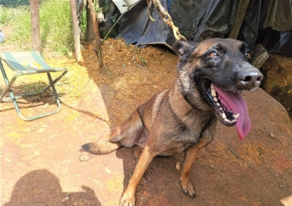 지뢰에 몸 던져 군인 36명 구했다…한쪽 다리 잃은 '영웅'에 쏟아진 찬사