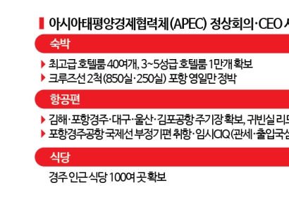 APEC 준비 민관 총력전…숙소 부족 우려 '여전'