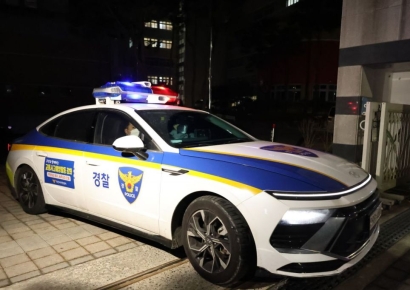 퇴근길 올림픽대로서 진통 온 임신부, 경찰차 타고 무사히 출산