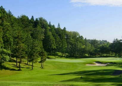 이런 일 처음이야…곰 출몰에 日 여자프로골프 1R 전격 취소