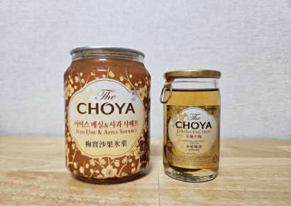 [먹어보니]상큼달콤한 맛에 '훅' 간다…조야 '아이술크림'