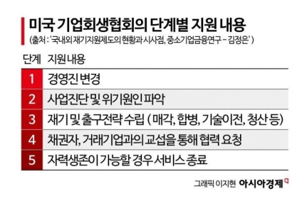 [소상공인 구조개선]③美·日 '재기'에 초점…금융지원부터 전문가 컨설팅까지 통합지원
