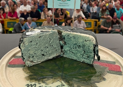 "이게 음식이야?"…파란 곰팡이 피었는데 5600만원에 팔린 치즈