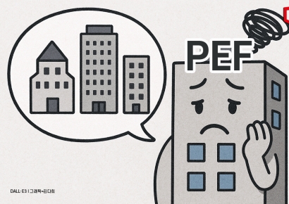 "마땅한 매물이 없네"… 숨죽이는 PEF들