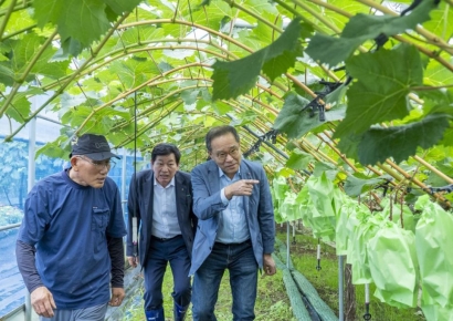 이찬우 NH농협금융 회장, 자연재해 피해 농가 신속한 금융지원 당부 