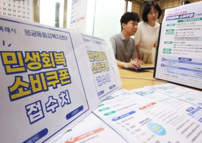 "오늘은 출생 연도 끝자리 1·6"...네·카·토, 민생회복 소비쿠폰 신청시작