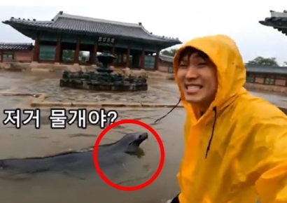 "폭우에 잠긴 경복궁서 '물개'가 헤엄쳐"…"실감 나지만 속지는 않아"