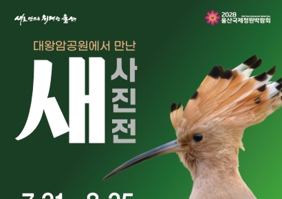 ‘대왕암공원서 만난 새’… 울산시, 새 사진전 개최