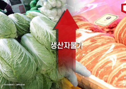 생산자물가, 석 달 만에 상승 전환… 배추 31.1%·돼지고기 9.5%↑