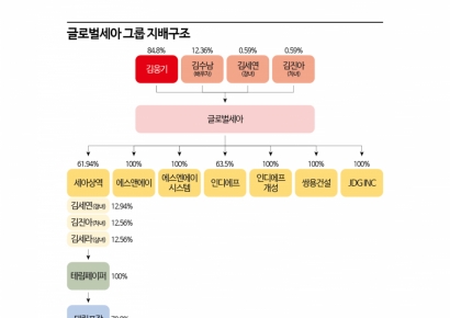 [막오른 2세 경영]⑨'돈 줄' 마른 글로벌세아…피인수 기업서 '자금 조달'