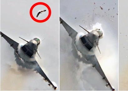우연히 '포착'…새와 충돌한 1000억짜리 전투기 조종석 '와장창'