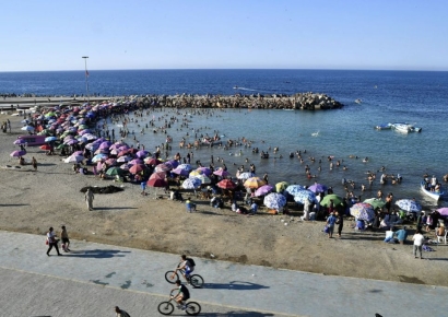 "외지 남성들 반바지 수영복 입지마"…알제리 시장 특단 대책 왜?