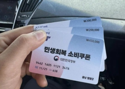 "내 세금 토해내라" 85만원 소비쿠폰 인증 결혼이주여성에 '댓글 테러'