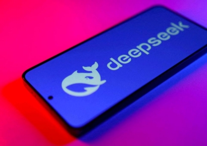 중국 딥시크, 출시 반년 만에 이용률 3%로 추락
