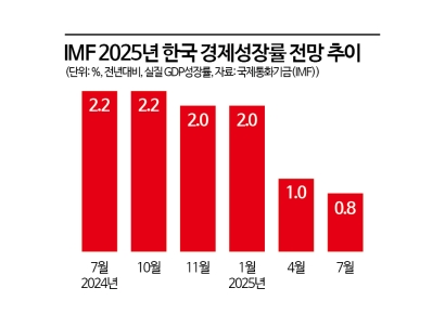 IMF, 韓 올해 성장률 1.0%→0.8%로 하향…세계 전망은 상향 조정