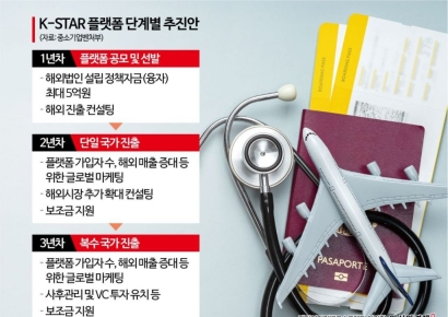 [단독]정부, 플랫폼 전용 해외 진출 지원사업 'K-STAR' 검토