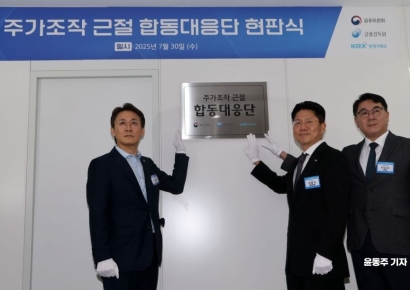 "주가조작범, 반드시 패가망신" 합동대응단 오늘 출범