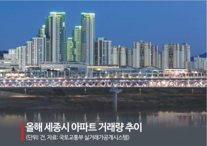 "정치테마주 같아"…뜰 줄 알았는데 아파트 거래량 87% 폭락한 '이곳'