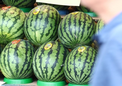 "수박 한 통 먹어야지" 마트 갔다가 '깜짝'…폭염에 농산물 가격 줄인상